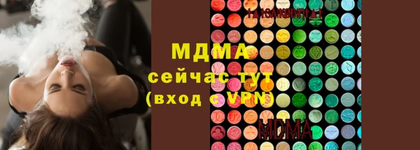 apvp Алзамай