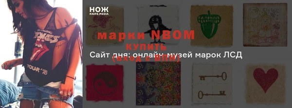 apvp Алзамай