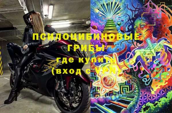 apvp Алзамай