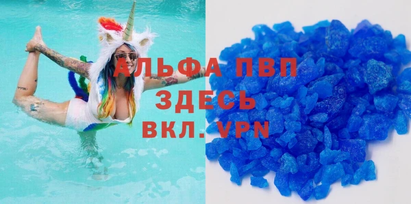 apvp Алзамай