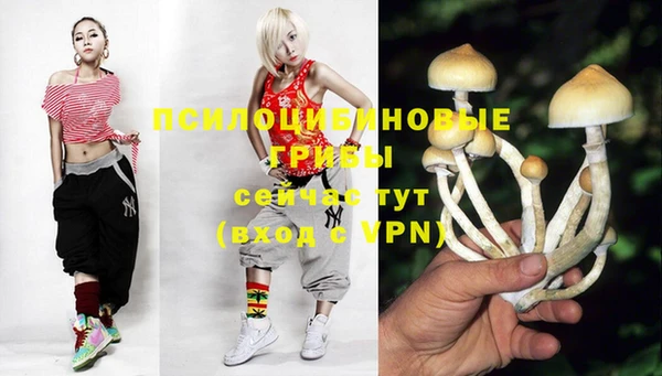 экстази Алексеевка