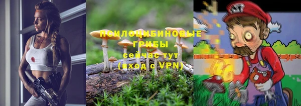 apvp Алзамай