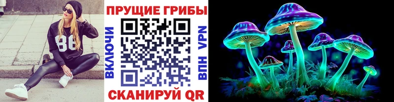 где купить наркоту  Алушта  Псилоцибиновые грибы Psilocybe 